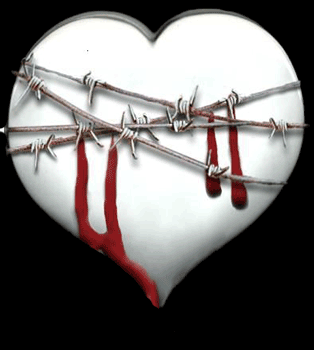 bleeding heart