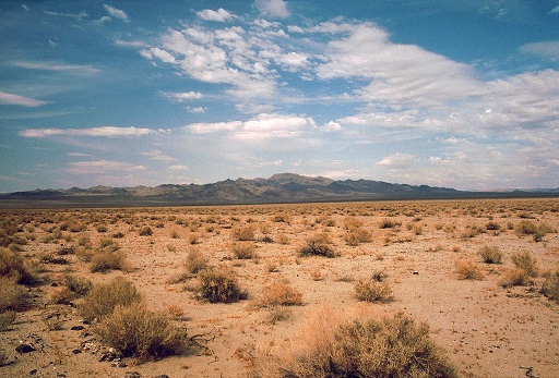 desert-dry-scrub-hot-barren-land